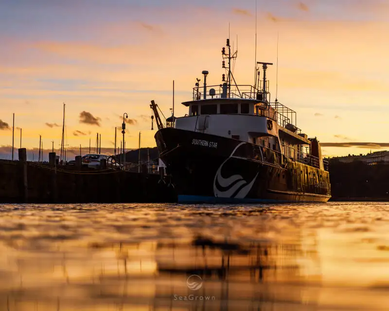 کشتی نقشه برداری برای فروش