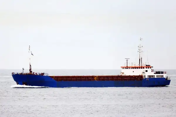 Bulk carrier for sale
