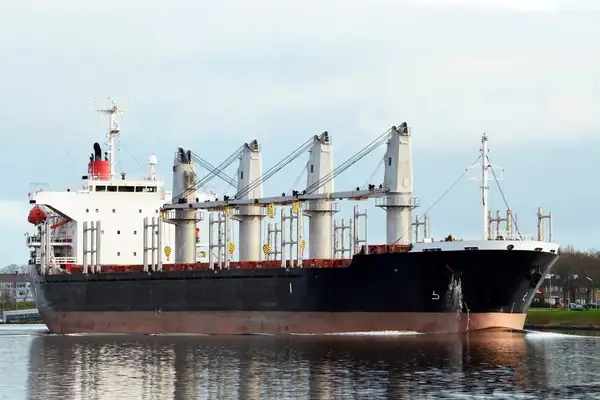 Bulk carrier for sale