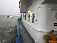 چند منظوره برای فروش