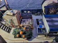 اهن قراضه برای فروش