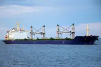 حامل فله برای فروش