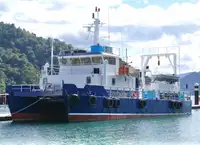 کاتاماران برای فروش