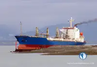 کشتی ریفر برای فروش