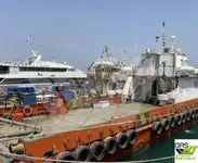 کشتی مزرعه بادی برای فروش