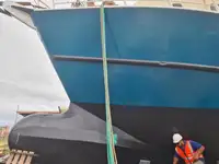 ترال ماهیگیری برای فروش