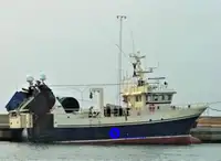 یک کشتی برای پردازش و تحویل ماهی برای فروش