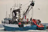 دریانورد برای فروش