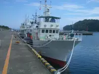 ترال ماهیگیری برای فروش