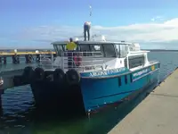 کاتاماران برای فروش