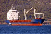 حامل فله برای فروش