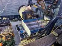 اهن قراضه برای فروش