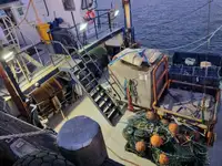 اهن قراضه برای فروش