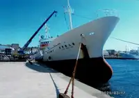 ترال ماهیگیری برای فروش