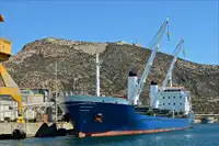 حامل فله برای فروش