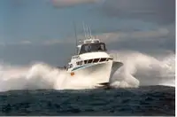 قایق های کار برای فروش