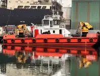 چند منظوره برای فروش