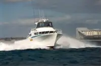 قایق های کار برای فروش