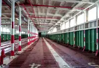 کشتی RORO برای فروش