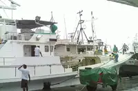 کشتی لانگ لاین برای فروش