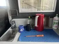 کاتاماران برای فروش